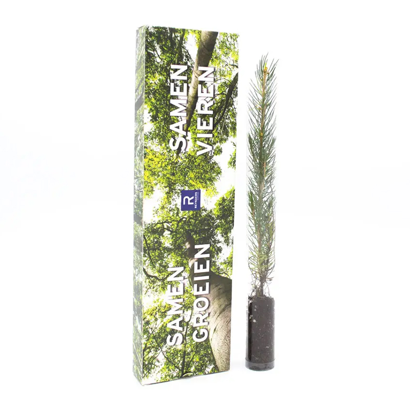 Tree in a box